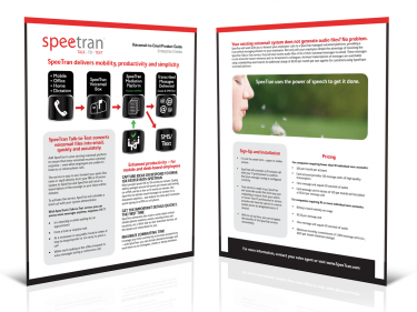 st-flyer2
