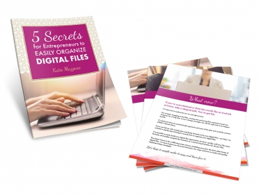 fsp-ebook1-3d