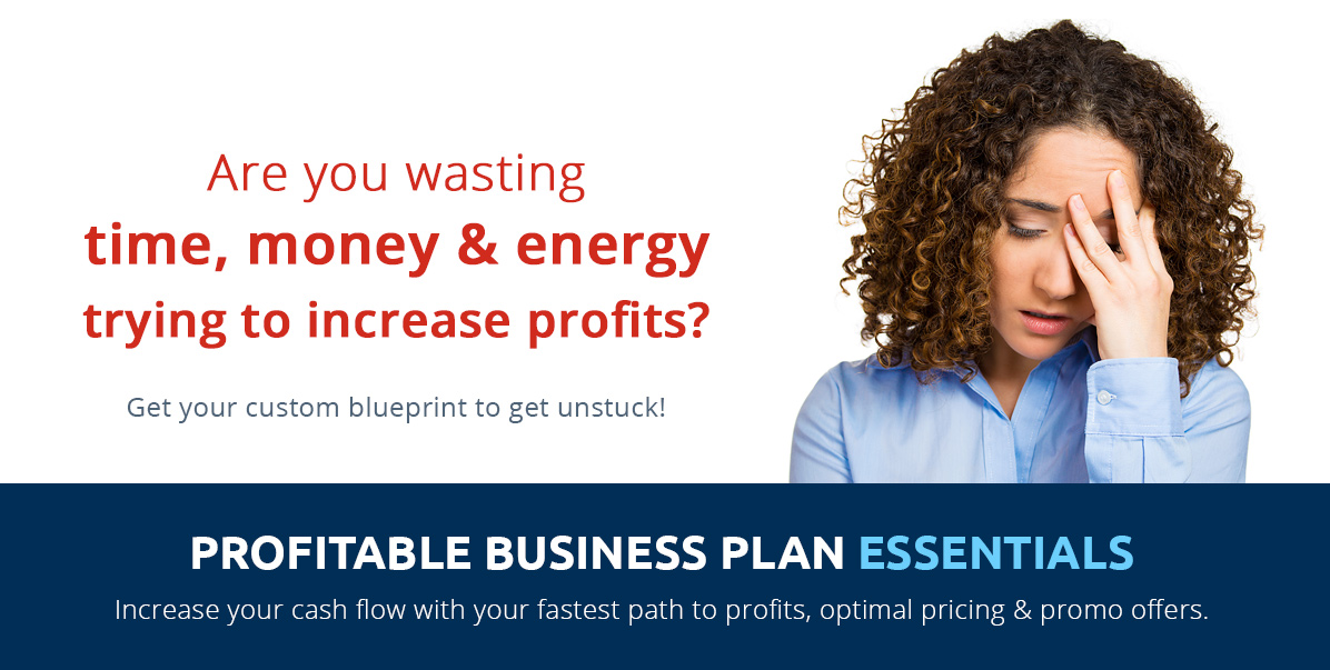 Profitable Business Plan Essentials Profitable Business Plan