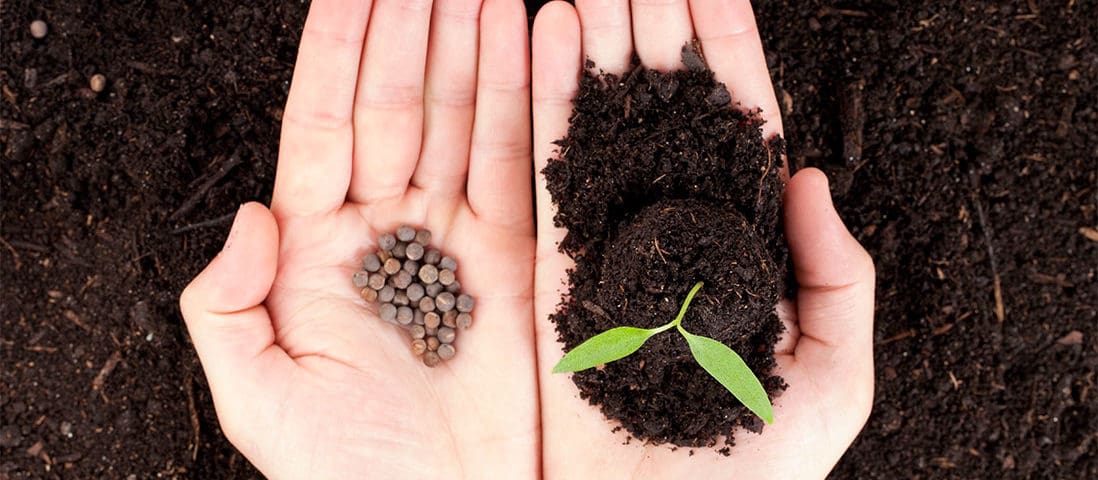 5 Steps to Plant the Seeds to Grow Your Network