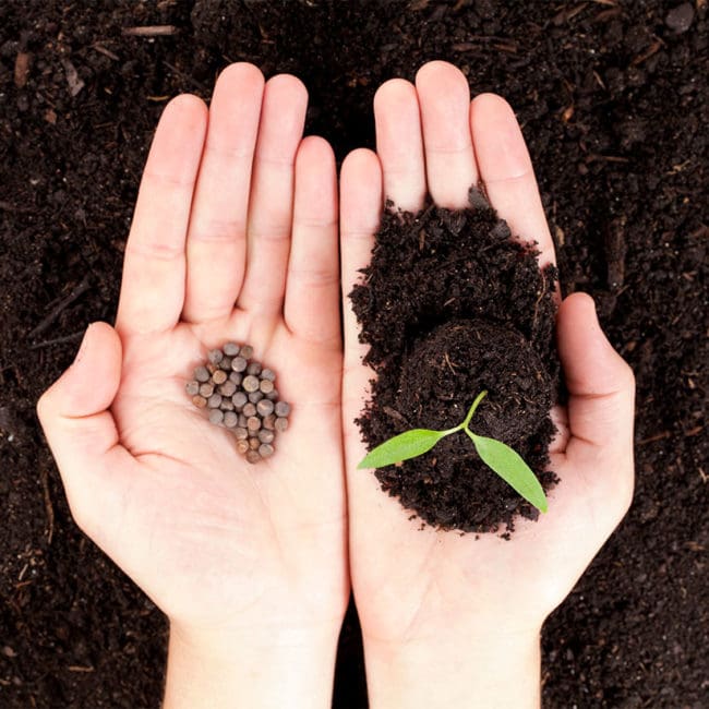 5 Steps to Plant the Seeds to Grow Your Network