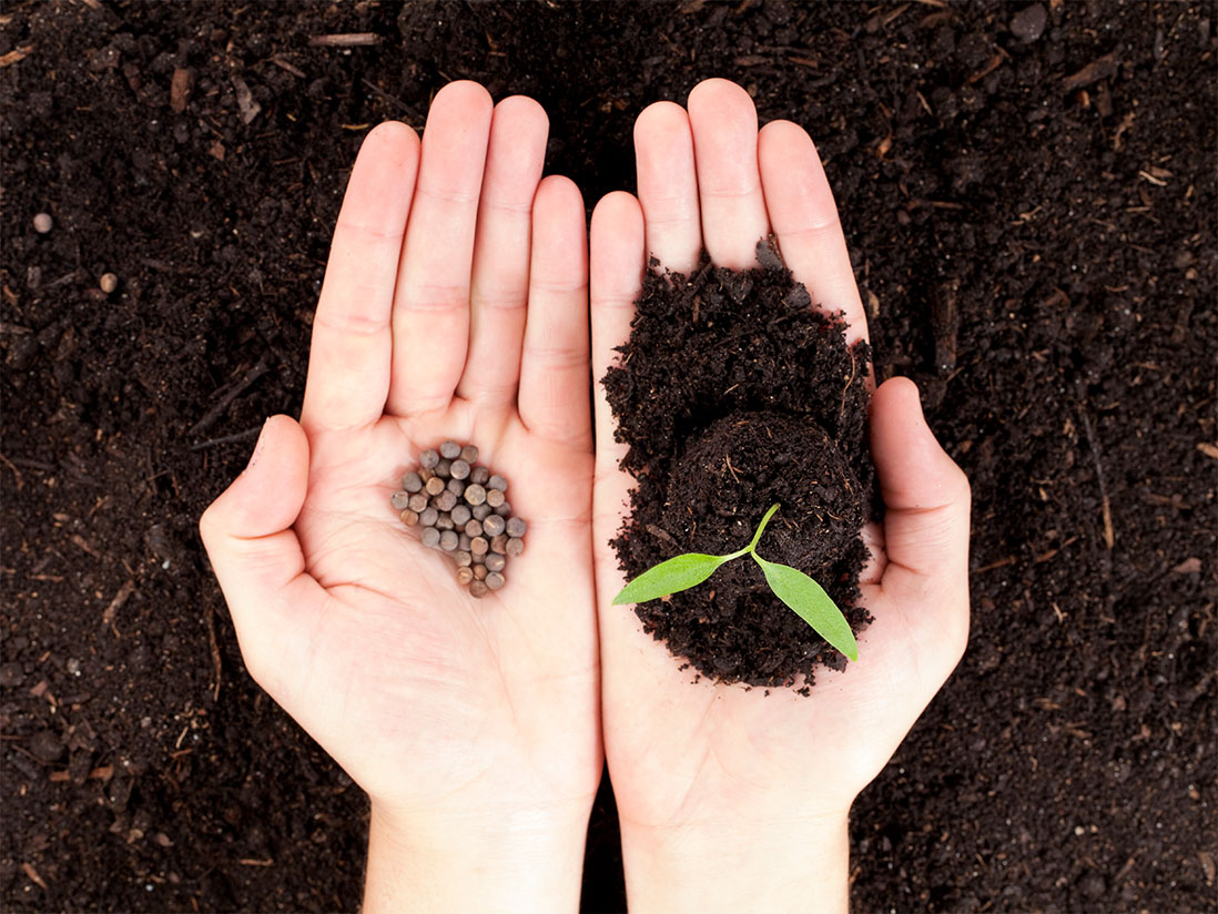 5 steps to plant the seeds to grow your network - virtuallinda